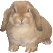 i2